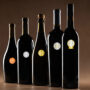 Decanter World Wine Awards 2025